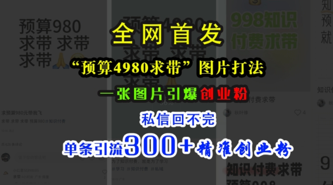 小红书“预算4980带我飞”图片打法,一张图片引爆创业粉,私信回不完,单条引流300+精准创业粉-青禾学社