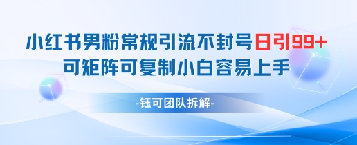 小红书男粉常规引流不封号日引99+变现简单 可矩阵可复制小白容易上手-青禾学社