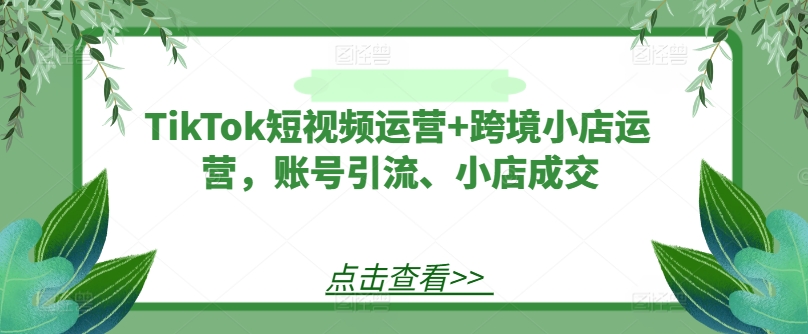 TikTok短视频运营+跨境小店运营,账号引流、小店成交-青禾学社
