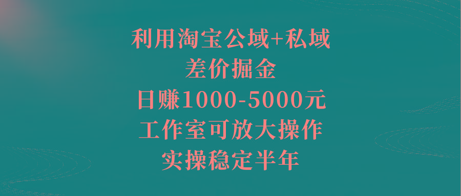 利用淘宝公域+私域差价掘金,日赚1000-5000元,工作室可放大操作,实操…-青禾学社