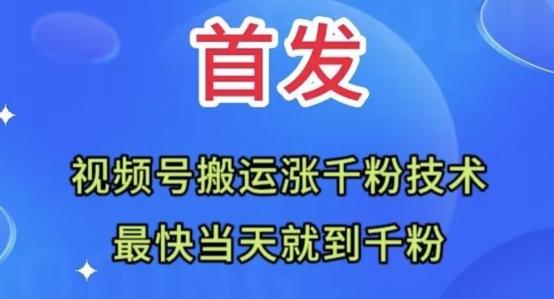 全网首发:视频号无脑搬运涨千粉技术,最快当天到千粉【揭秘】-青禾学社