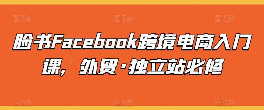 脸书Facebook跨境电商入门课,外贸·独立站必修-青禾学社