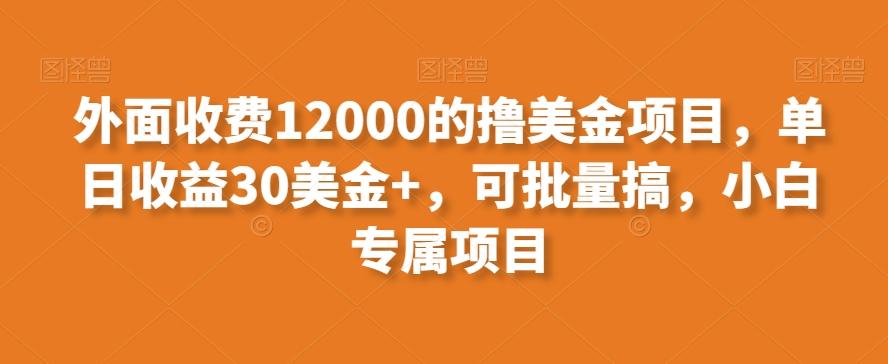 外面收费12000的撸美金项目,单日收益30美金+,可批量搞,小白专属项目-青禾学社