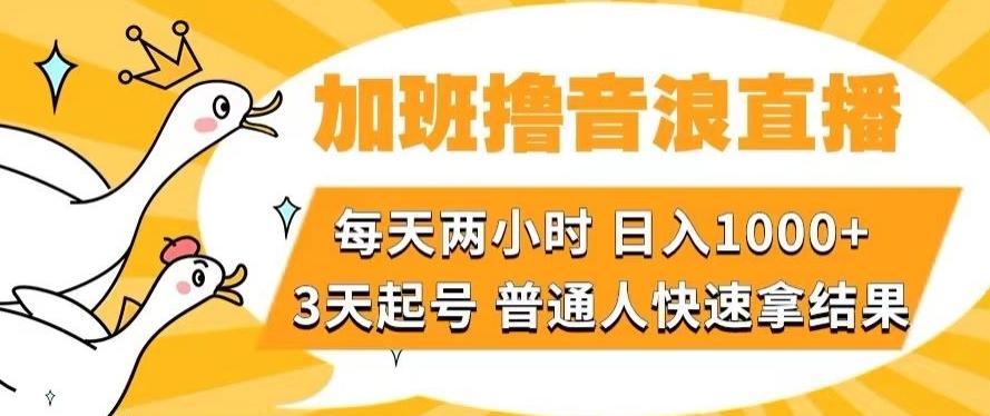 加班撸音浪直播,每天两小时,日入1000+,直播话术才3句,3天起号,普通人快速拿结果【揭秘】-青禾学社