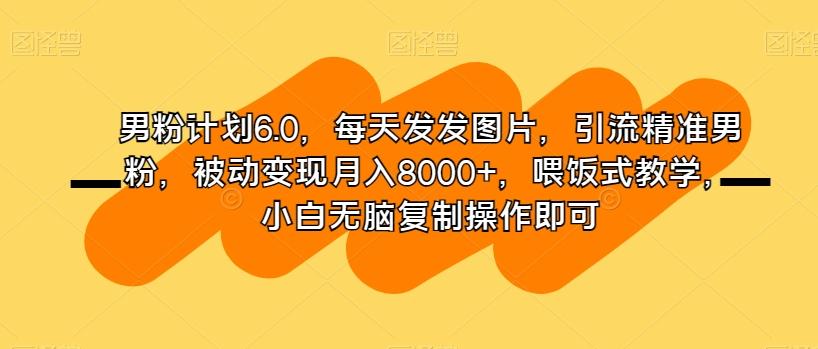 男粉计划6.0,每天发发图片,引流精准男粉,被动变现月入8000+,喂饭式教学,小白无脑复制操作即可-青禾学社