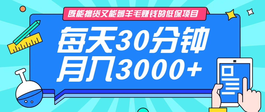 既能撸货又能赚钱的长期低保项目，每天30分钟，多号百分百稳定月入3000+！-青禾学社
