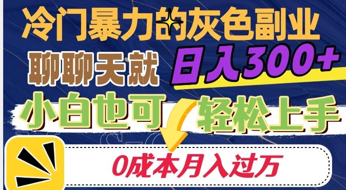 冷门暴利的副业项目,聊聊天就能日入300+,0成本月入过万【揭秘】-青禾学社