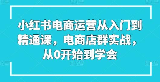 小红书电商运营从入门到精通课,电商店群实战,从0开始到学会-青禾学社