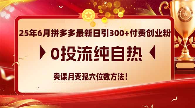 25年6月拼多多最新日引300+付费创业粉，0投流纯自热 卖课月变现六位数方法-青禾学社