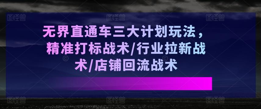 无界直通车三大计划玩法,精准打标战术/行业拉新战术/店铺回流战术-青禾学社