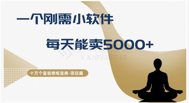 十万个富翁修炼宝典之17.一个刚需小软件,每天能卖5000+-青禾学社