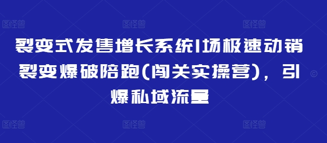 裂变式发售增长系统1场极速动销裂变爆破陪跑(闯关实操营)，引爆私域流量-青禾学社