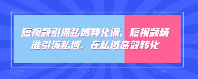短视频引流私域转化课,短视频精准引流私域,在私域高效转化-青禾学社