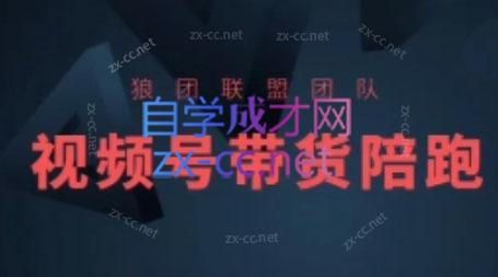 狼团联盟·2024视频号带货-青禾学社