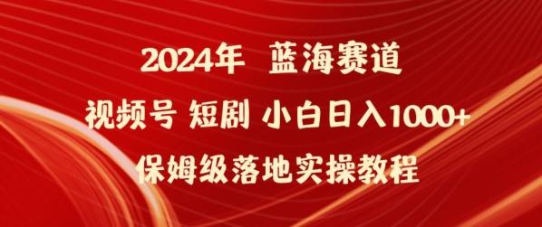 2024年视频号短剧新玩法小白日入1000+保姆级落地实操教程【揭秘】-青禾学社