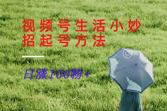 视频号生活小妙招分享赛道, 起号涨粉新方法,日涨100粉-青禾学社