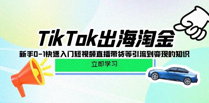 (10035期)TikTok-出海淘金,新手0-1快速入门短视频直播带货等引流到变现的知识-青禾学社