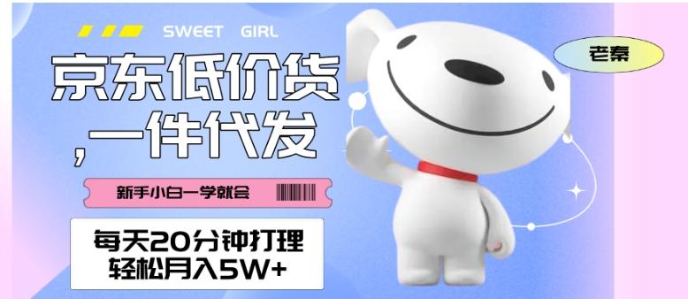 每天20分钟打理京东低价货,一件代发-轻松月入5W+-青禾学社