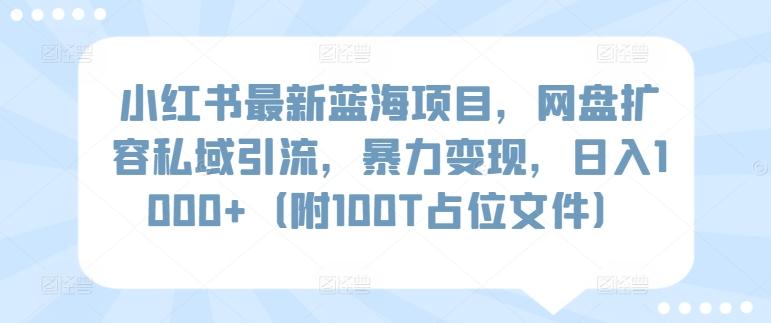 小红书最新蓝海项目，网盘扩容私域引流，暴力变现，日入1000+(附100T占位文件)【揭秘】-青禾学社
