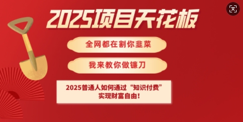 2025项目天花板普通人如何通过知识付费,实现财F自由【揭秘】-青禾学社