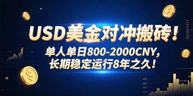 USD美金对冲搬砖!单人单日800-2000CNY,长期稳定运行8年之久!-青禾学社